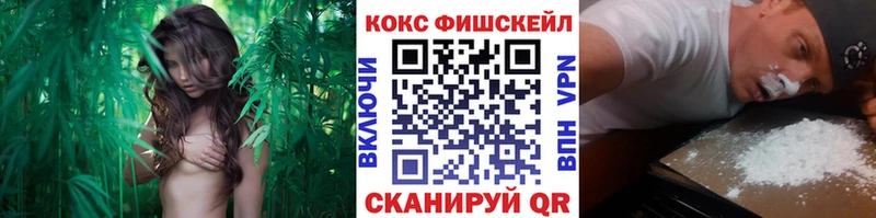 как найти наркотики  Шарья  Cocaine Боливия 