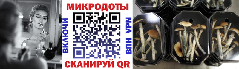 как найти наркотики  Шарья  Галлюциногенные грибы GOLDEN TEACHER 